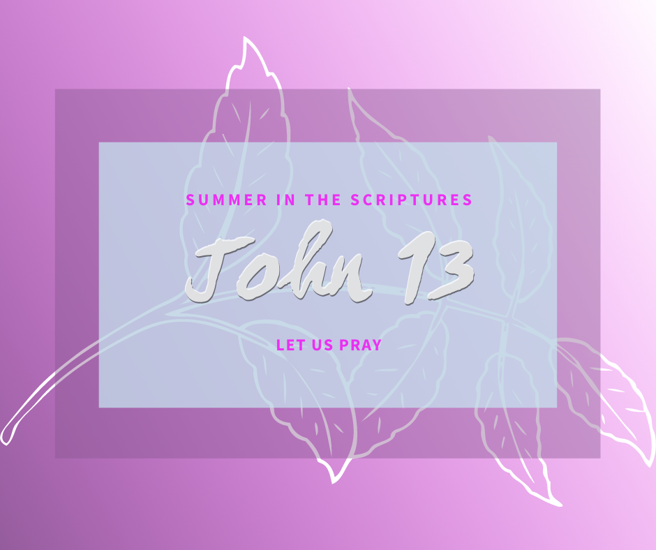 Summer in the Scriptures John (11)
