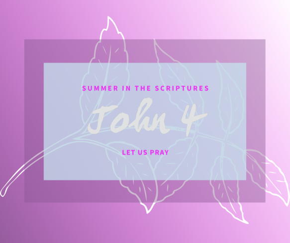 Summer in the Scriptures John (2)